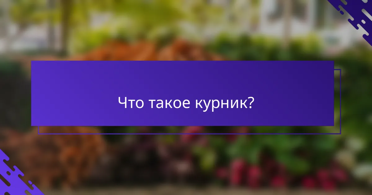 Что такое курник?